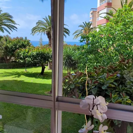 Sun & Friends - Costa, Centro Internacional Torrox